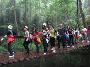 張家界旅游全攻略 注意事項(xiàng)、必買特產(chǎn)與經(jīng)典游玩路線