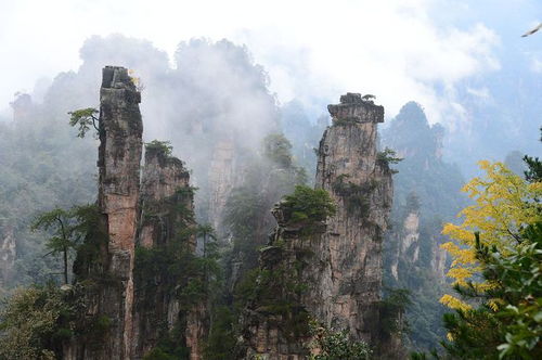 去張家界需要準(zhǔn)備什么？了解這些游玩須知，比準(zhǔn)備衣服要重要